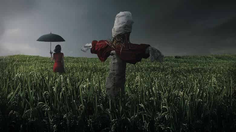 Zagadka Zbrodni Cały Film (2003) Online - Gdzie Obejrzeć