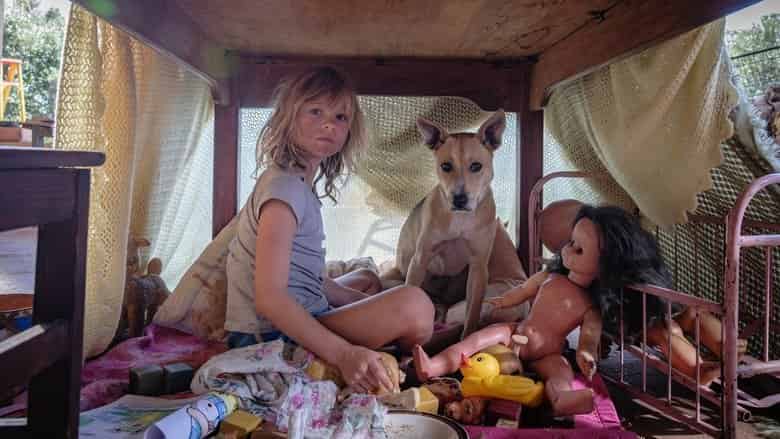 Dziś wieczorem nie schodźmy na psy Cały Film (2025) Online - Gdzie Obejrzeć