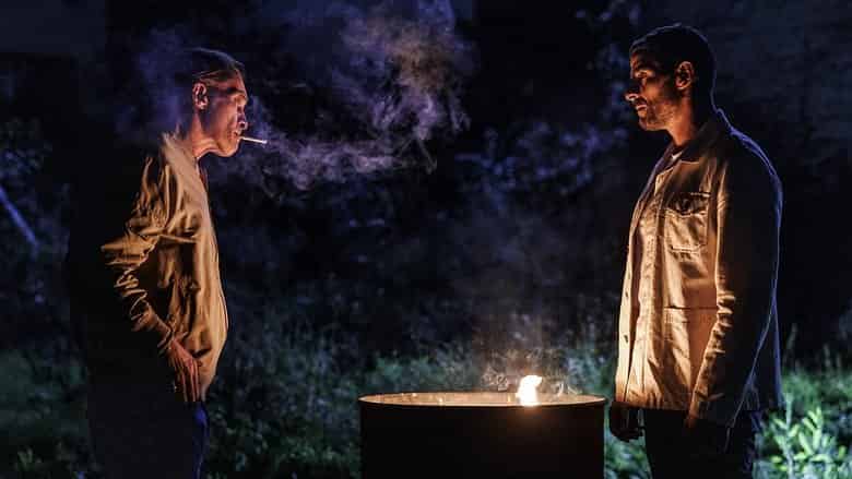 Tygrysy i hieny Cały Film (2024) Online - Gdzie Obejrzeć