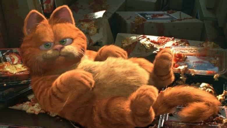 Garfield Cały Film (2004) Online - Gdzie Obejrzeć