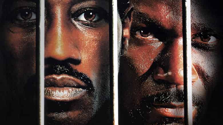 Champion Cały Film (2002) Online - Gdzie Obejrzeć