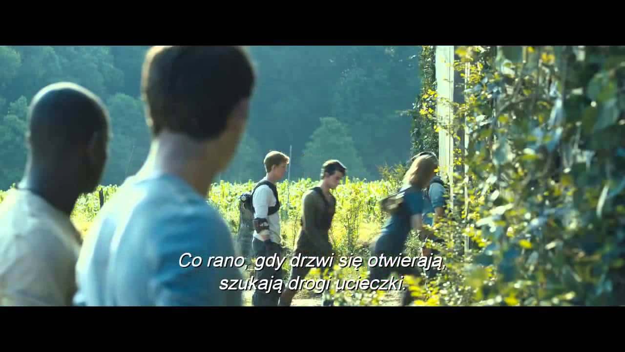 Więzień labiryntu Cały Film (2014) Online - Gdzie Obejrzeć