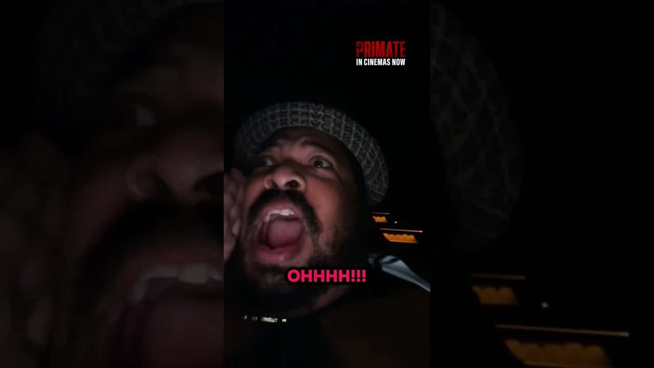 Szympans Cały Film (2026) Online - Gdzie Obejrzeć