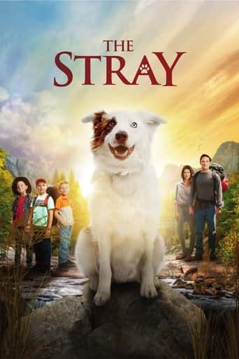 The Stray Cały Film (2017) Online - Gdzie Obejrzeć