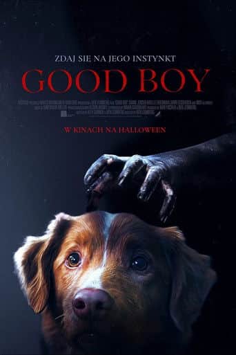 Good boy Cały Film (2025) Online - Gdzie Obejrzeć