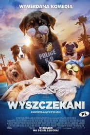 Wyszczekani Cały Film (2018) Online - Gdzie Obejrzeć