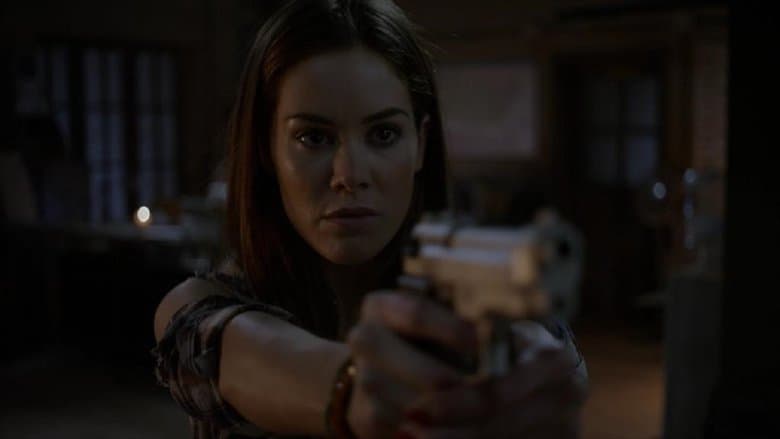 Droga bez powrotu 5: Krwawe granice Cały Film (2012) Online - Gdzie Obejrzeć