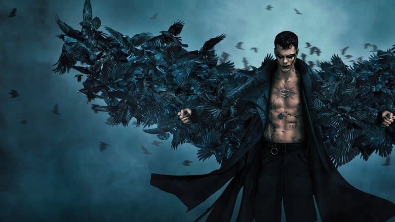 Kruk Cały Film (2024) Online - Gdzie Obejrzeć