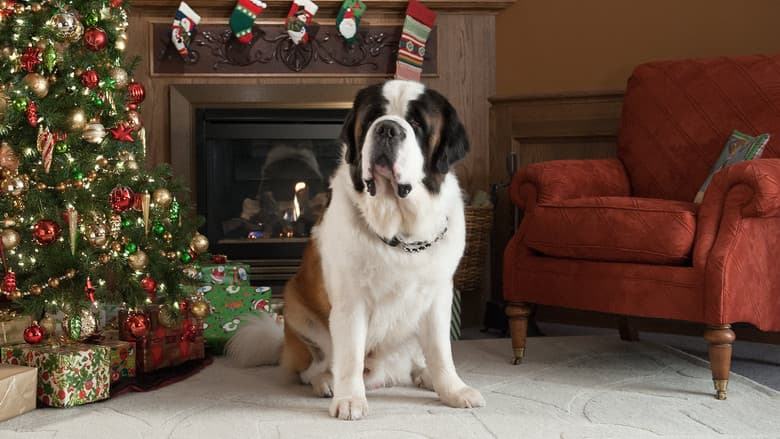 Beethoven - Świąteczna przygoda Cały Film (2011) Online - Gdzie Obejrzeć