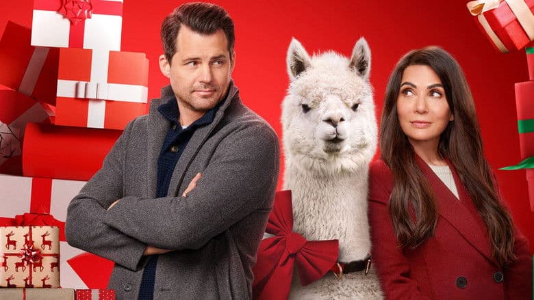 Małżeńskich Świąt Cały Film (2022) Online - Gdzie Obejrzeć