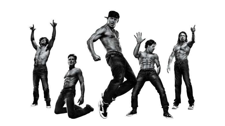 Magic Mike XXL Cały Film (2015) Online - Gdzie Obejrzeć