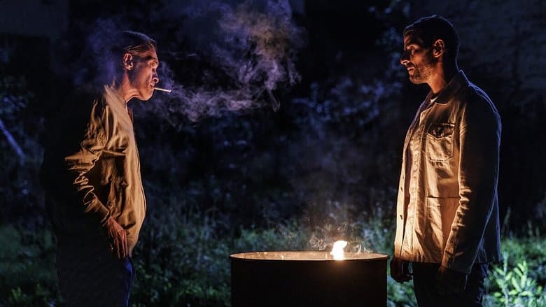 Tygrysy i hieny Cały Film (2024) Online - Gdzie Obejrzeć