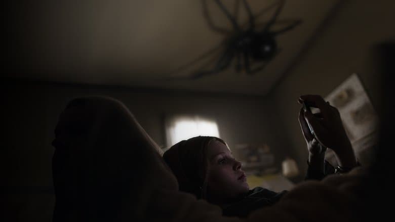 Gniazdo pająka Cały Film (2024) Online - Gdzie Obejrzeć