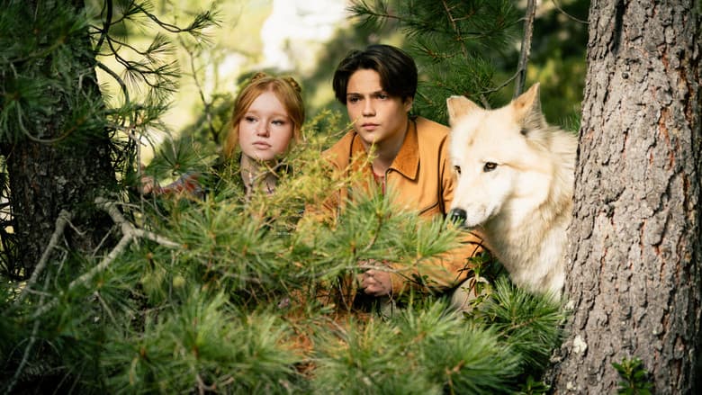 Zmiennokształtni 2 Cały Film (2026) Online - Gdzie Obejrzeć