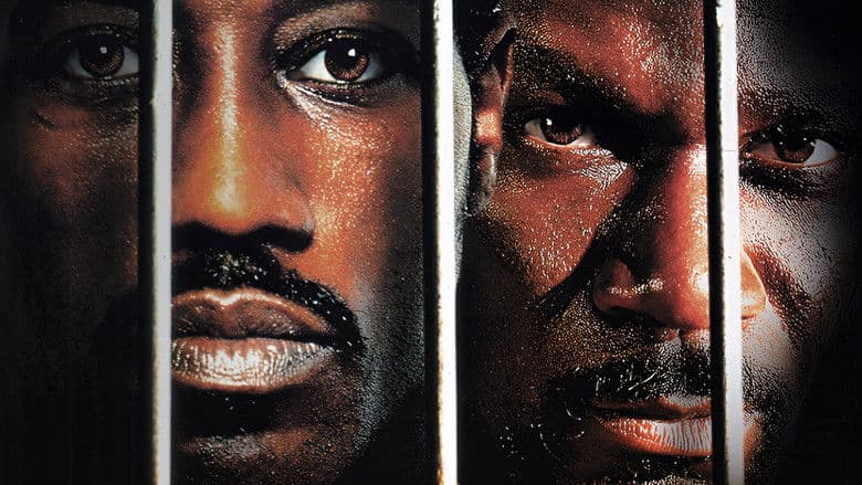 Champion Cały Film (2002) Online - Gdzie Obejrzeć