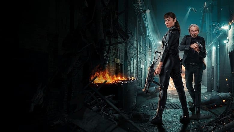 Paradox Effect Cały Film (2024) Online - Gdzie Obejrzeć